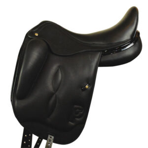 Dressage