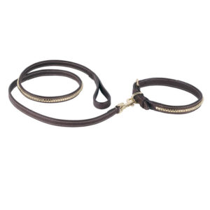 Dog Equipment