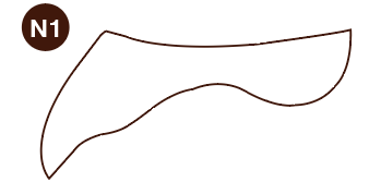 N1