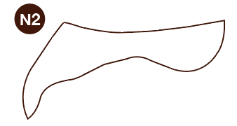 N2