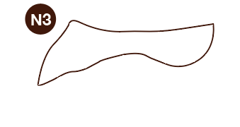 N3