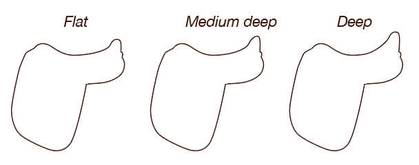 dressage_panels